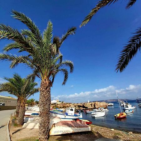 Apartament Alexandro'S Daire Torrevieja Dış mekan fotoğraf