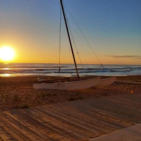 Apartament Alexandro'S Daire Torrevieja Dış mekan fotoğraf