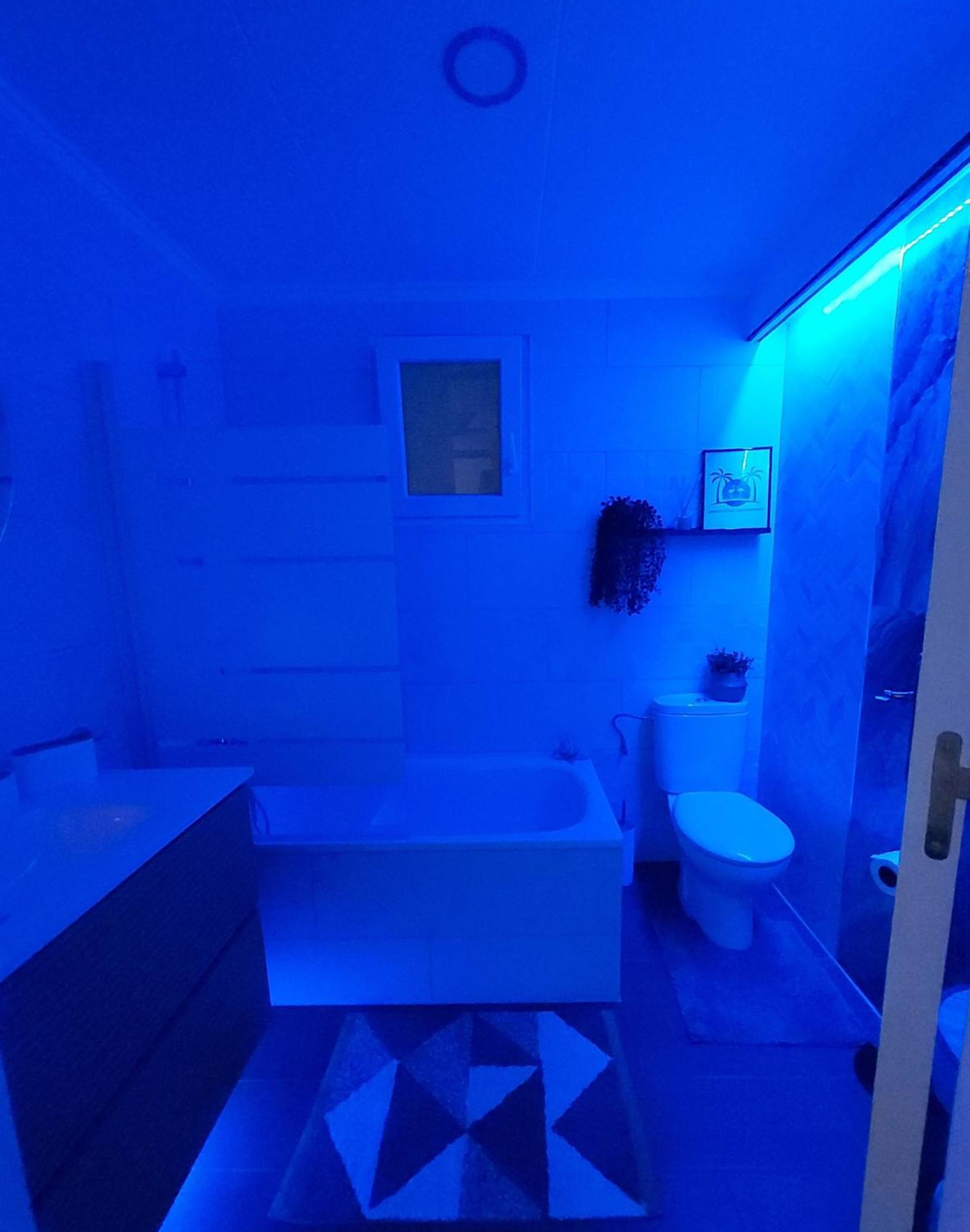 Apartament Alexandro'S Daire Torrevieja Dış mekan fotoğraf