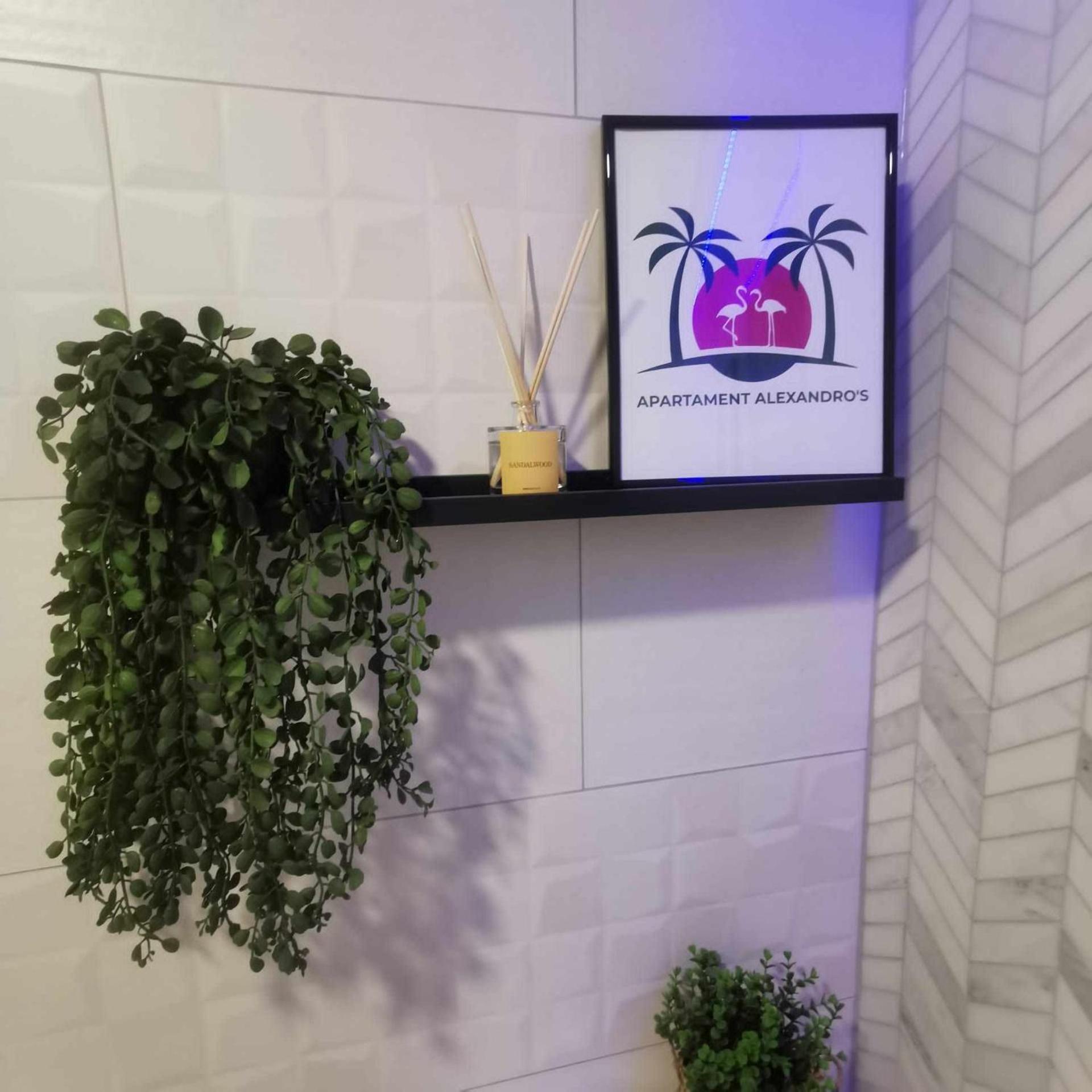 Apartament Alexandro'S Daire Torrevieja Dış mekan fotoğraf